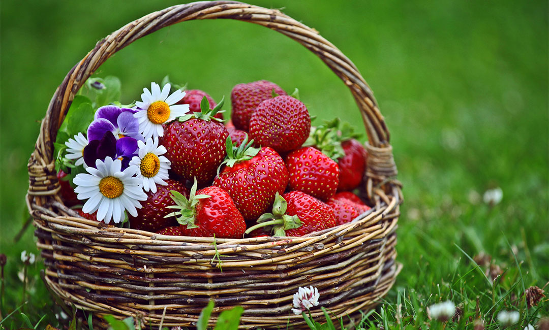 岳阳点呀点水果电商APP开发案例